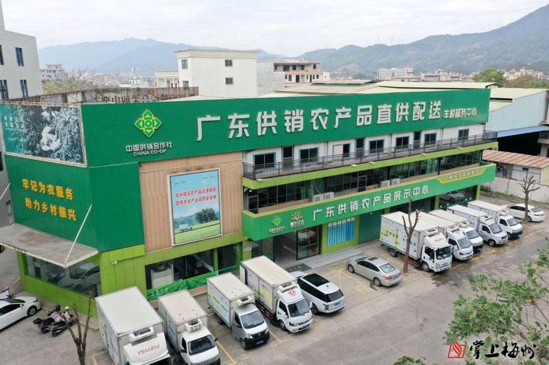 新春佳节选购年货礼盒注意了这些细节至关重要