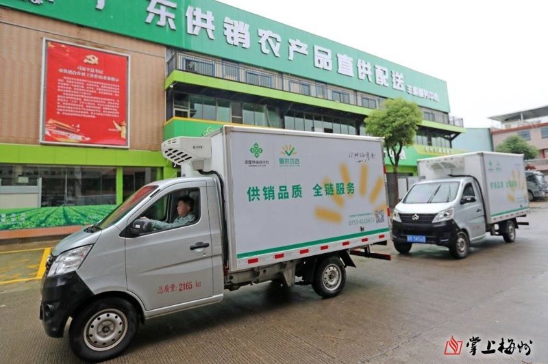 干货坚果：健康生活的美味选择